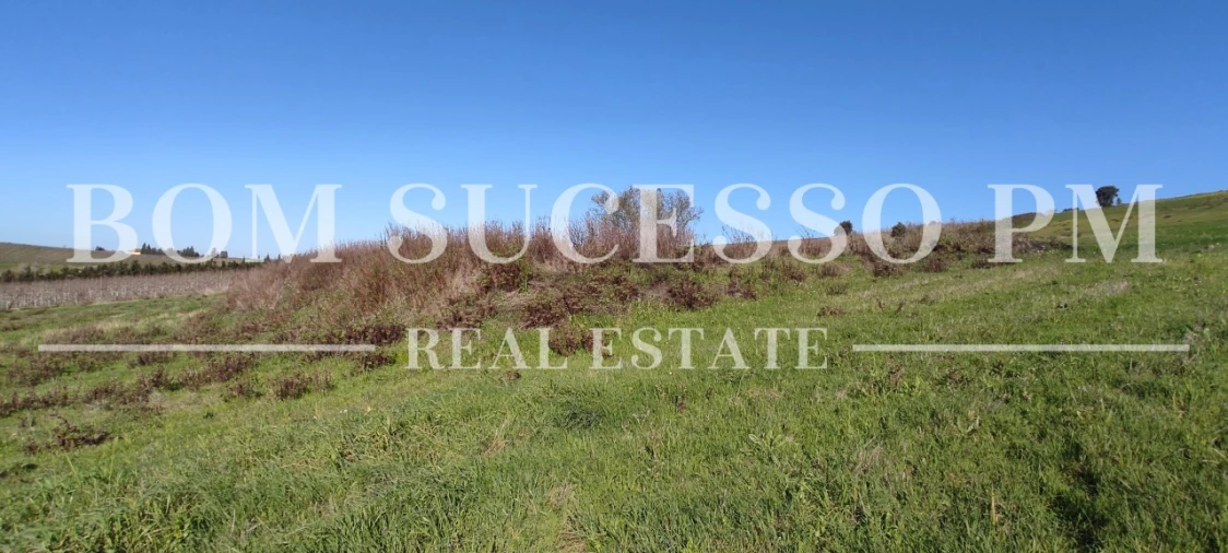 Terreno para Venda em Carvalhal Foto 22