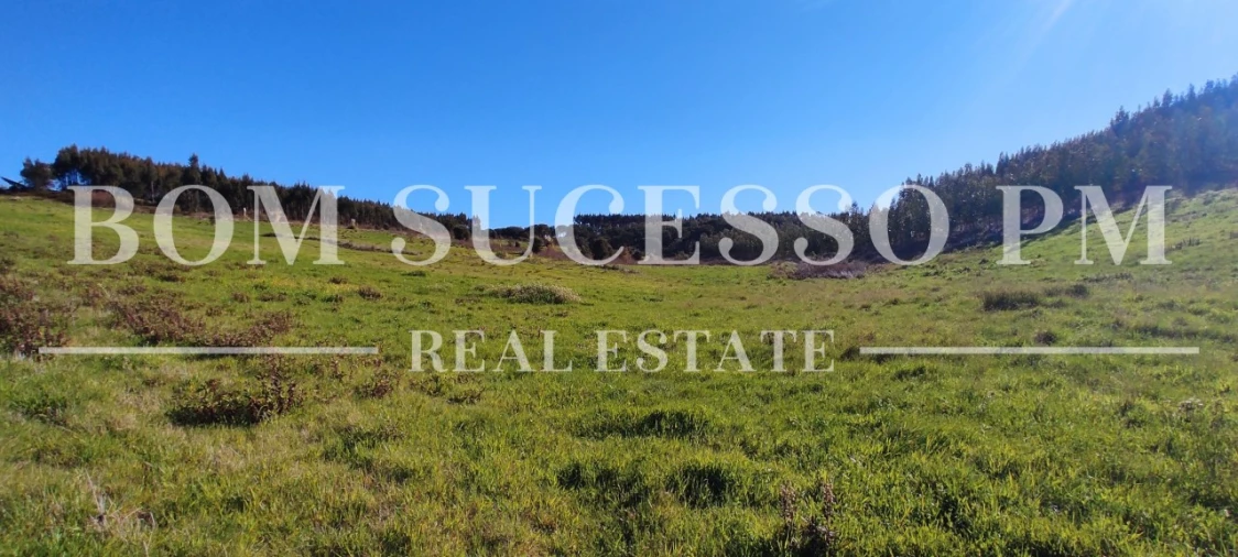 Terreno para Venda em Carvalhal Foto 24