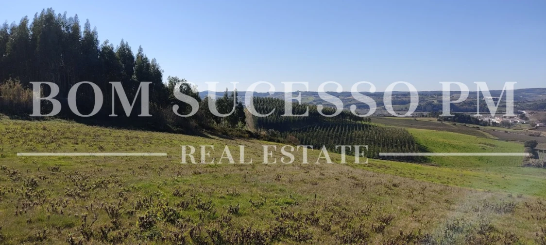 Terreno para Venda em Carvalhal Foto 28