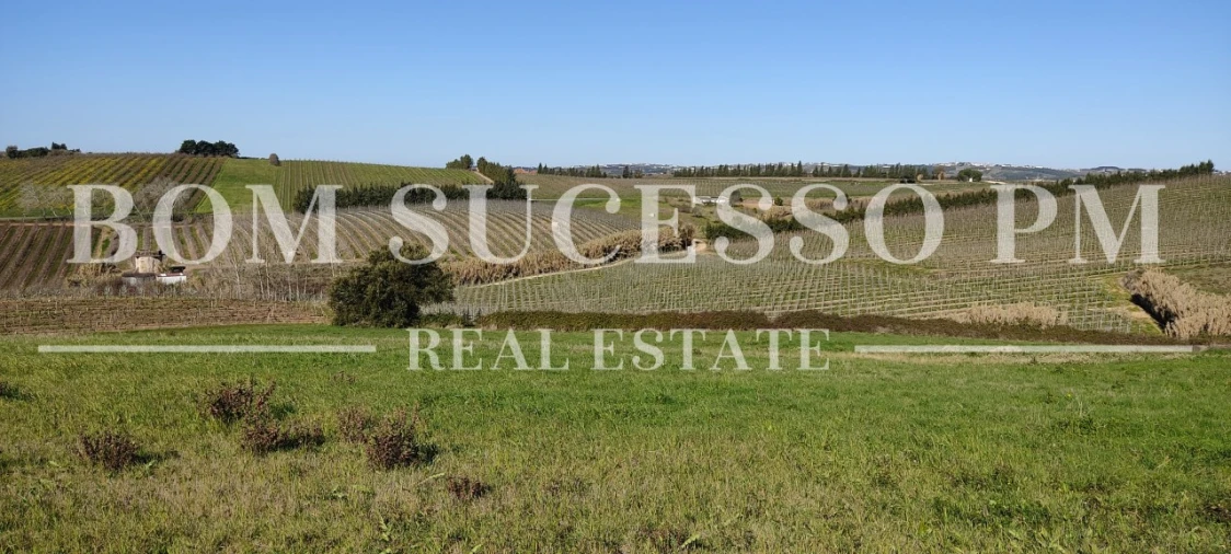 Terreno para Venda em Carvalhal Foto 30