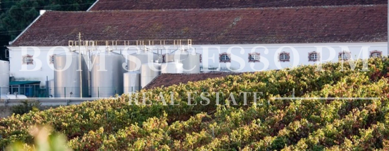 Terreno para Venda em Carvalhal Foto 34