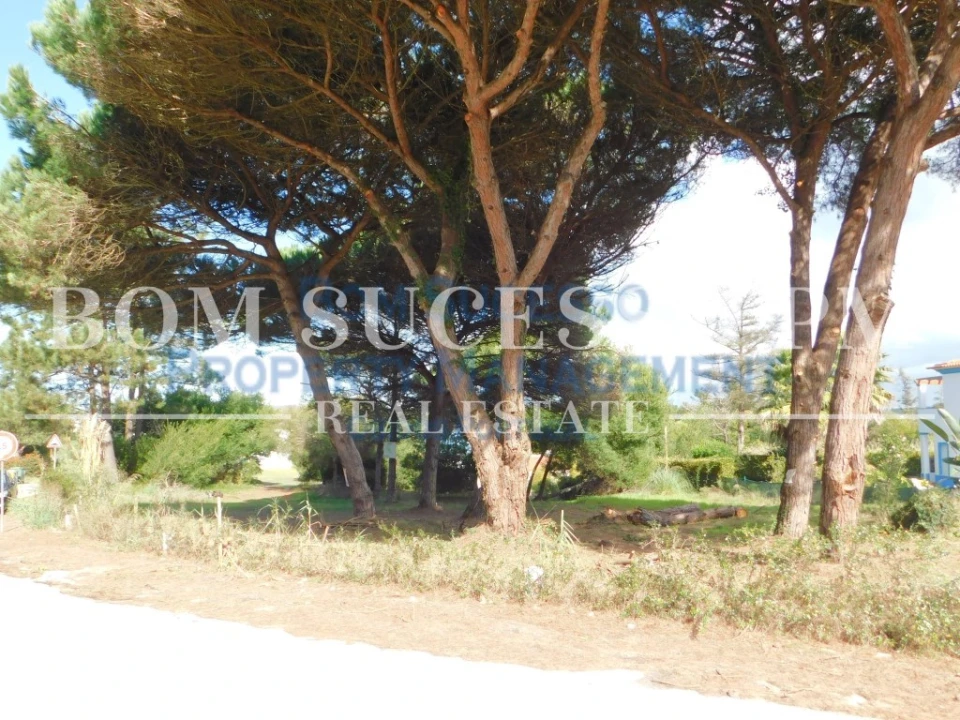 Terreno P/ Prédio para Venda em Vau Foto 5