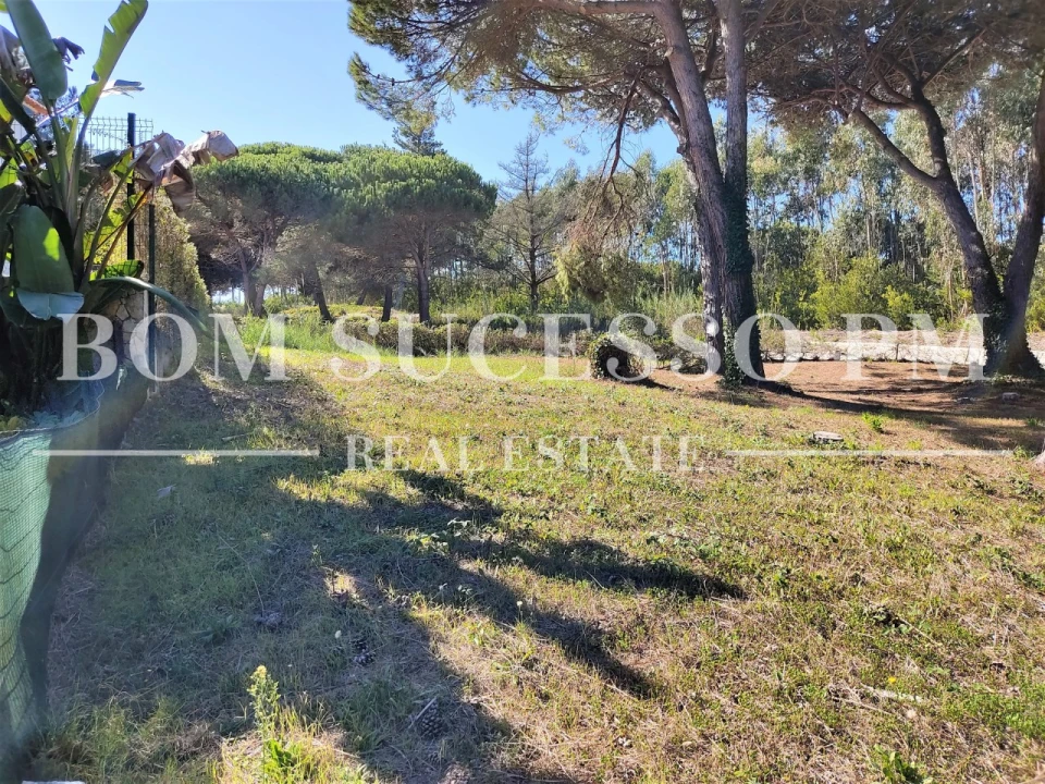 Terreno P/ Prédio para Venda em Vau Foto 6