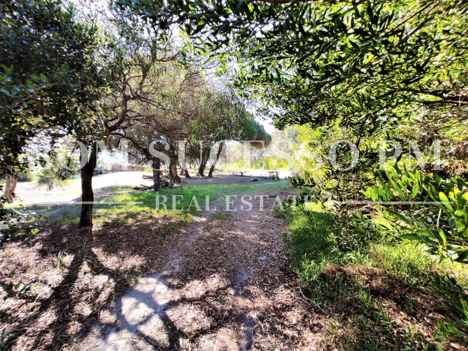 Terreno P/ Prédio para Venda em Vau Foto 13