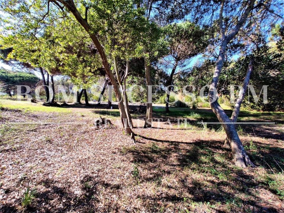 Terreno P/ Prédio para Venda em Vau Foto 17