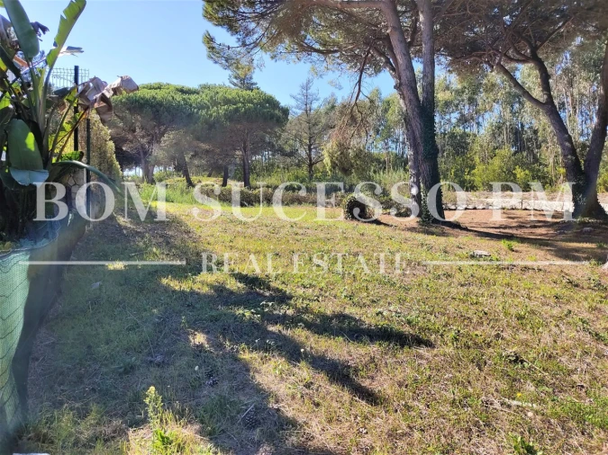 Terreno P/ Prédio para Venda em Vau Foto 6