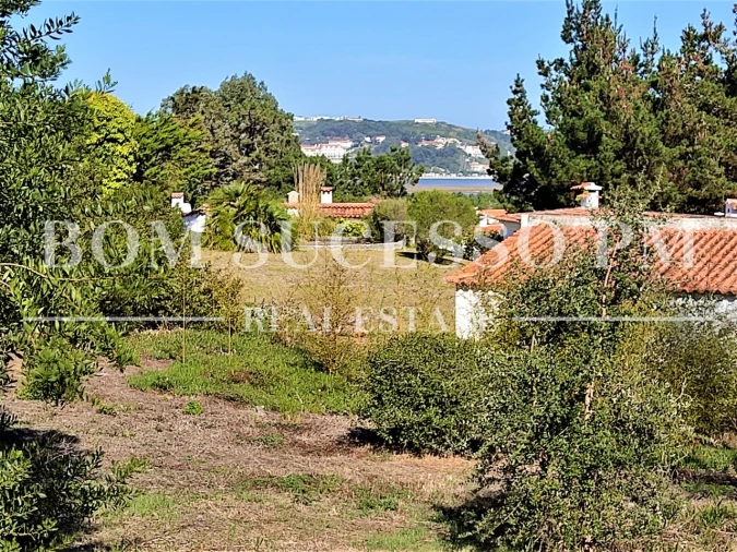 Terreno P/ Prédio para Venda em Vau Foto 10
