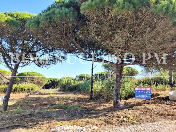 Terreno P/ Prédio para Venda em Vau Foto 3