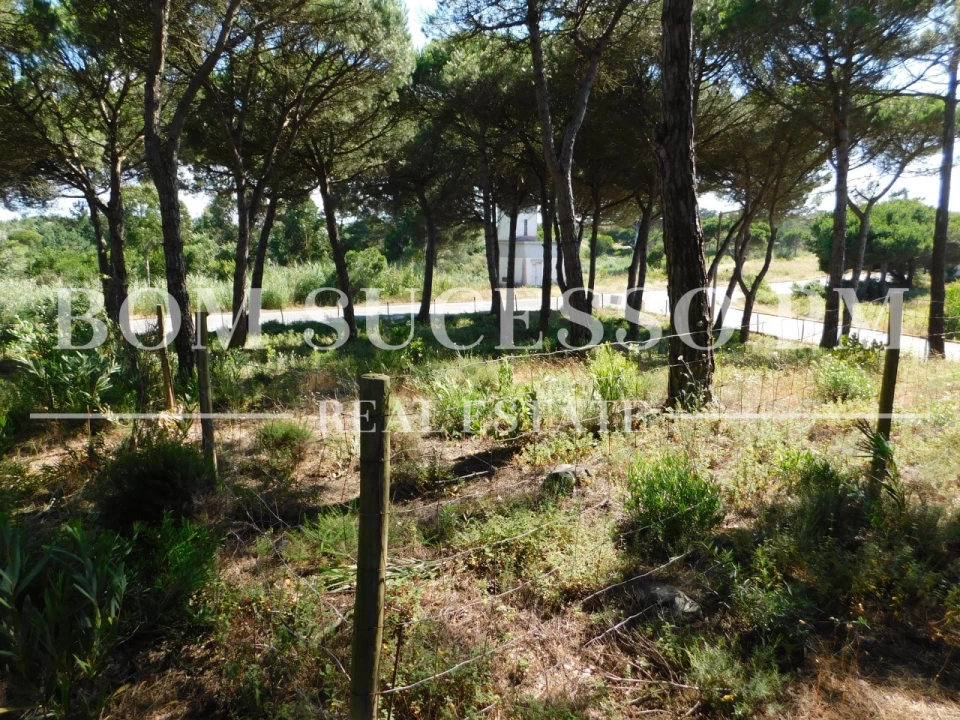 Terreno P/ Prédio para Venda em Vau Foto 8