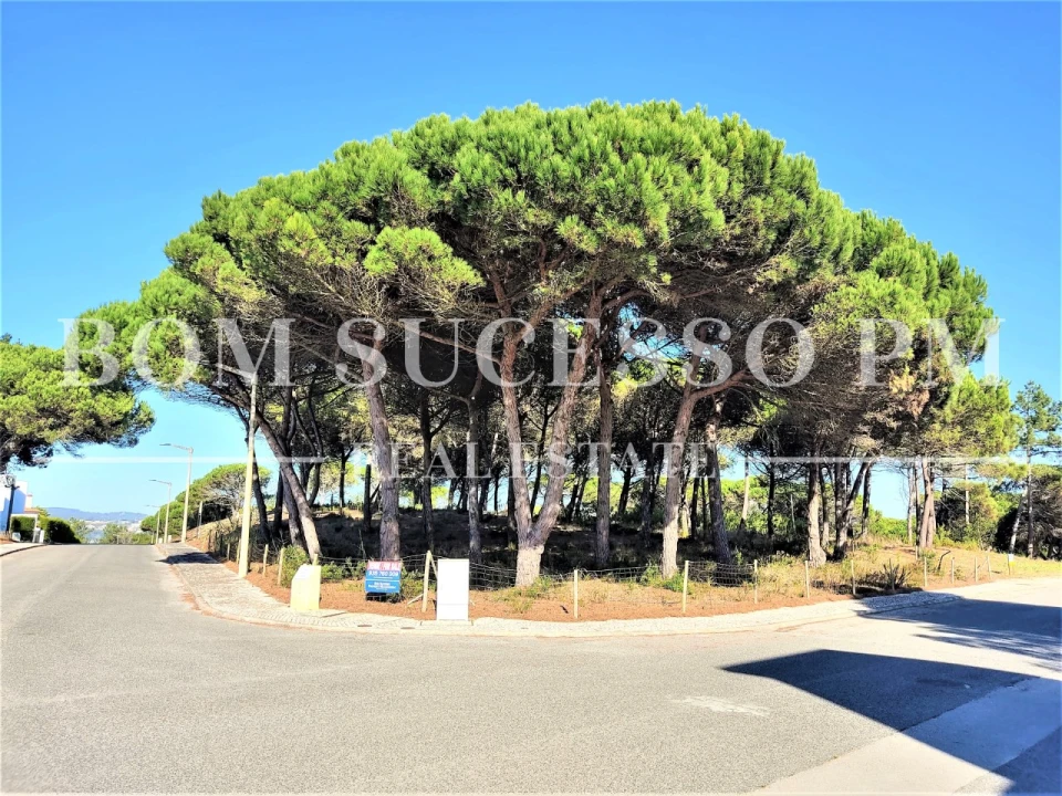 Terreno P/ Prédio para Venda em Vau Foto 3