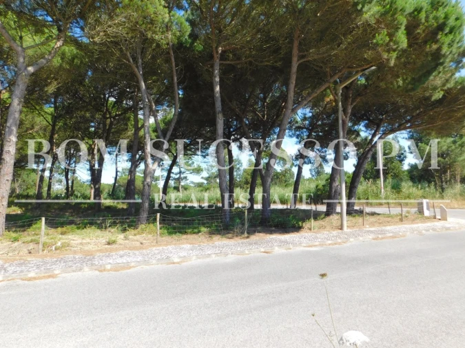 Terreno P/ Prédio para Venda em Vau Foto 7