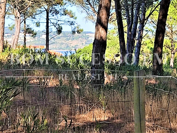 Terreno P/ Prédio para Venda em Vau Foto 6