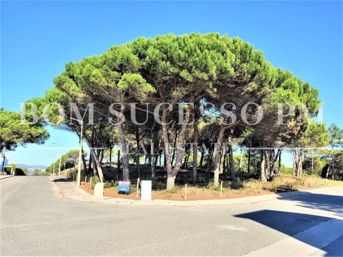 Terreno P/ Prédio para Venda em Vau Foto 3