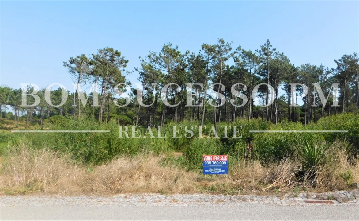 Terreno P/ Prédio para Venda em Vau Foto 3