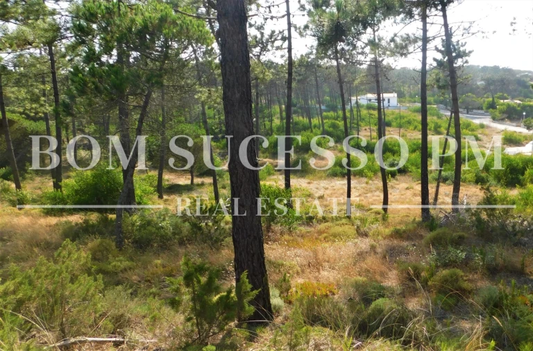 Terreno P/ Prédio para Venda em Vau Foto 8