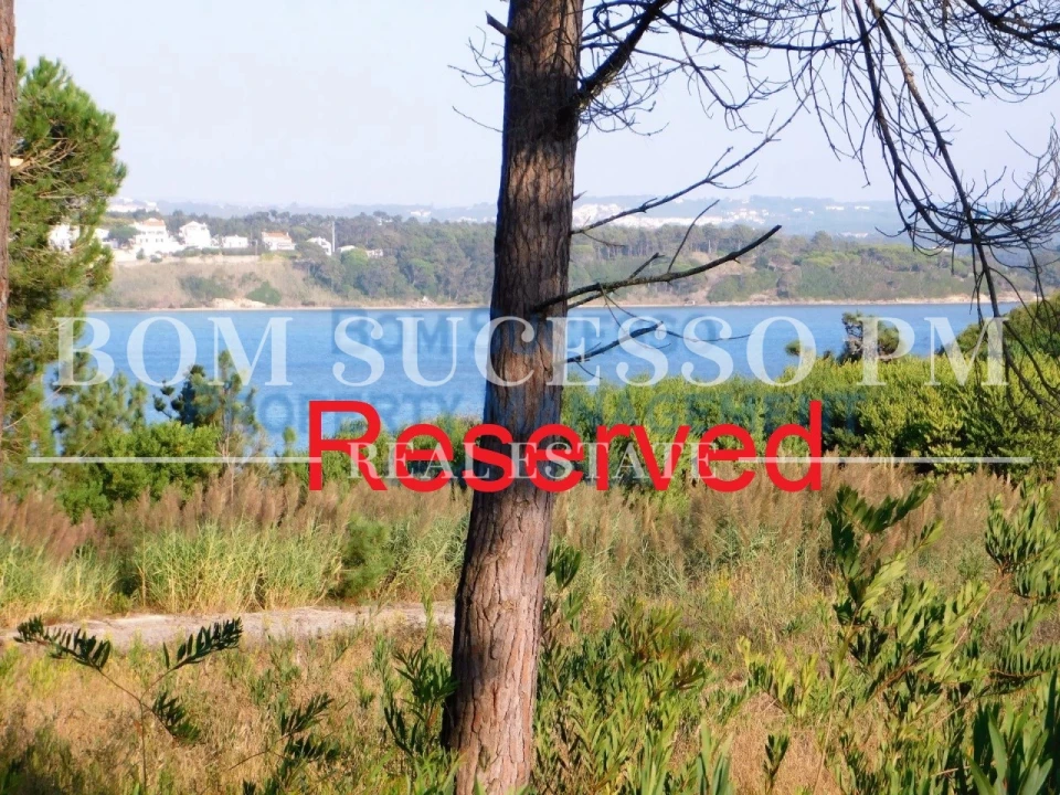 Terreno P/ Prédio para Venda em Vau Foto 1