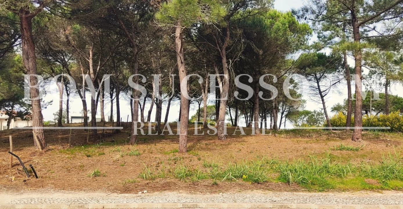 Terreno P/ Prédio para Venda em Vau Foto 2