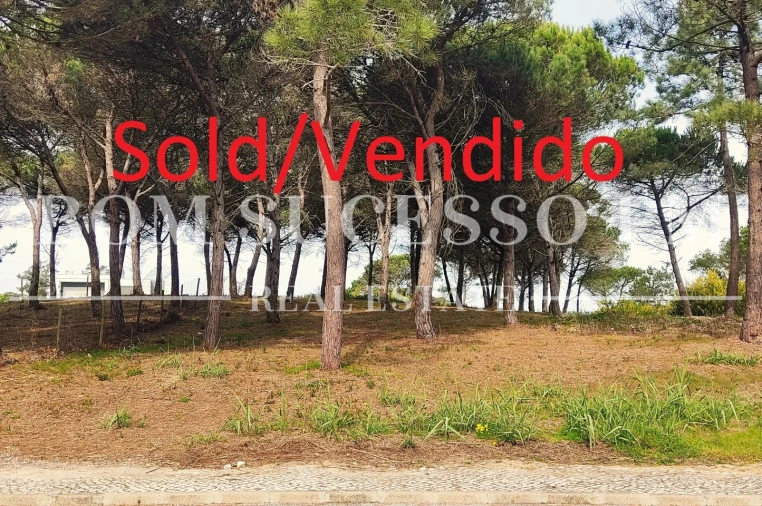 Terreno P/ Prédio para Venda em Vau Foto 1