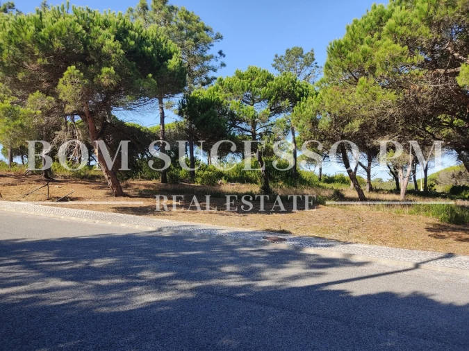 Terreno P/ Prédio para Venda em Vau Foto 2