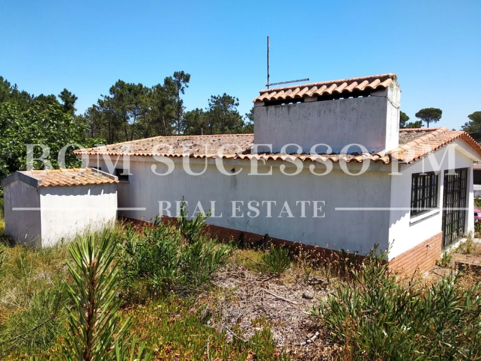 Terreno P/ Prédio para Venda em Vau Foto 5