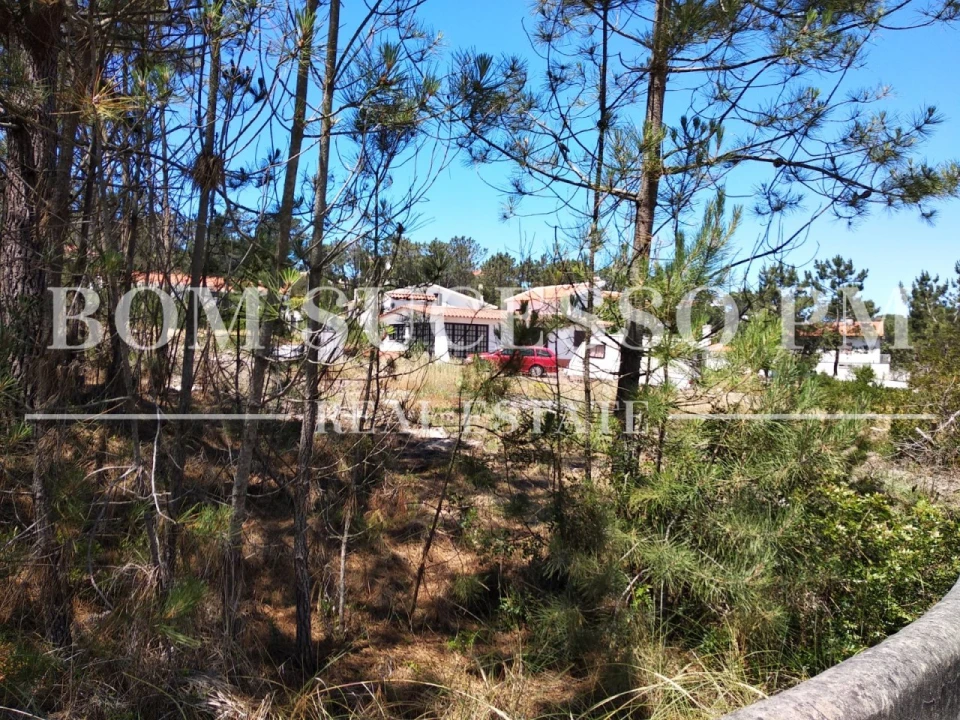 Terreno P/ Prédio para Venda em Vau Foto 3