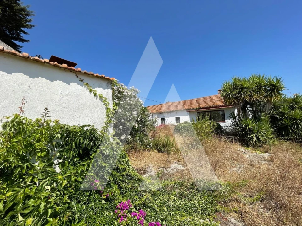 Quinta T4 para Venda em Pontevel Foto 1