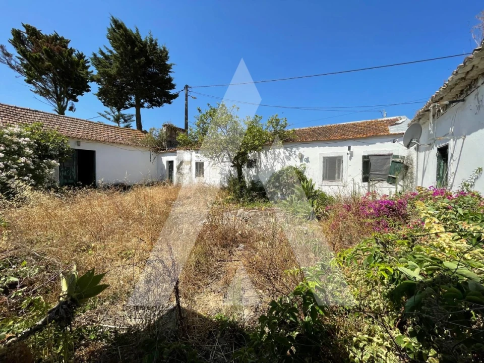 Quinta T4 para Venda em Pontevel Foto 4