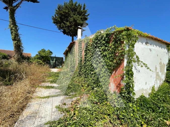 Quinta T4 para Venda em Pontevel Foto 2