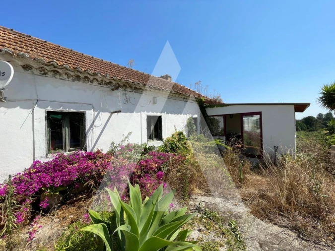 Quinta T4 para Venda em Pontevel Foto 18