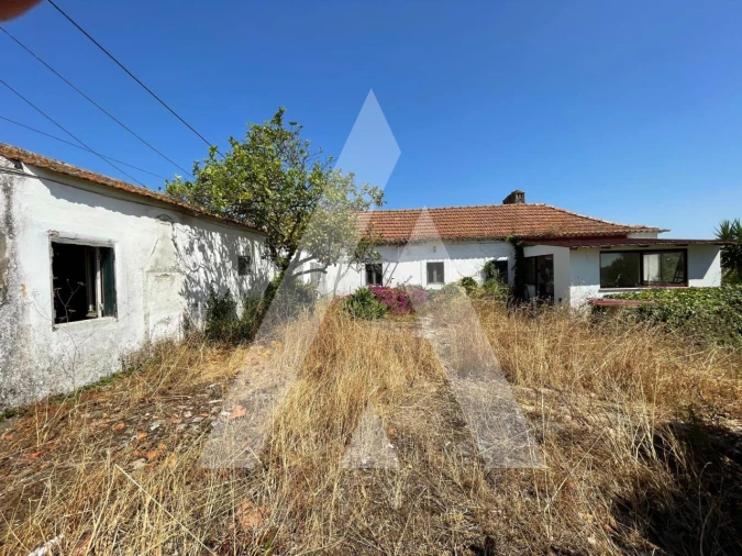 Quinta T4 para Venda em Pontevel Foto 3