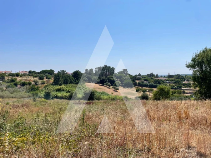 Quinta T4 para Venda em Pontevel Foto 19