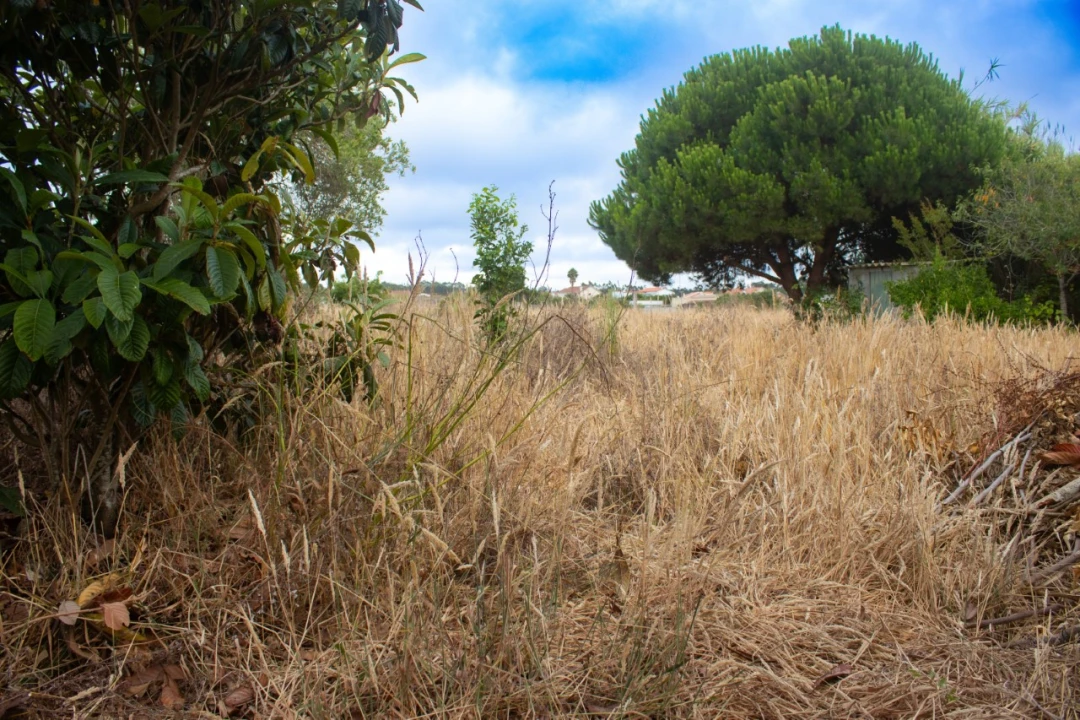 Moradia T4 para Venda em Lavos Foto 25