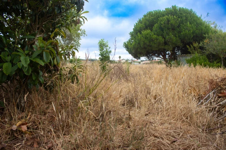 Moradia T4 para Venda em Lavos Foto 25