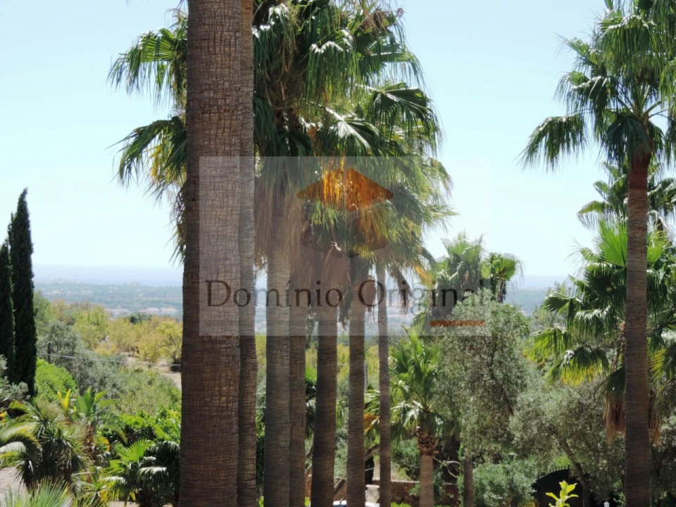 Quinta T5 para Venda em Loule (São Clemente) Foto 54