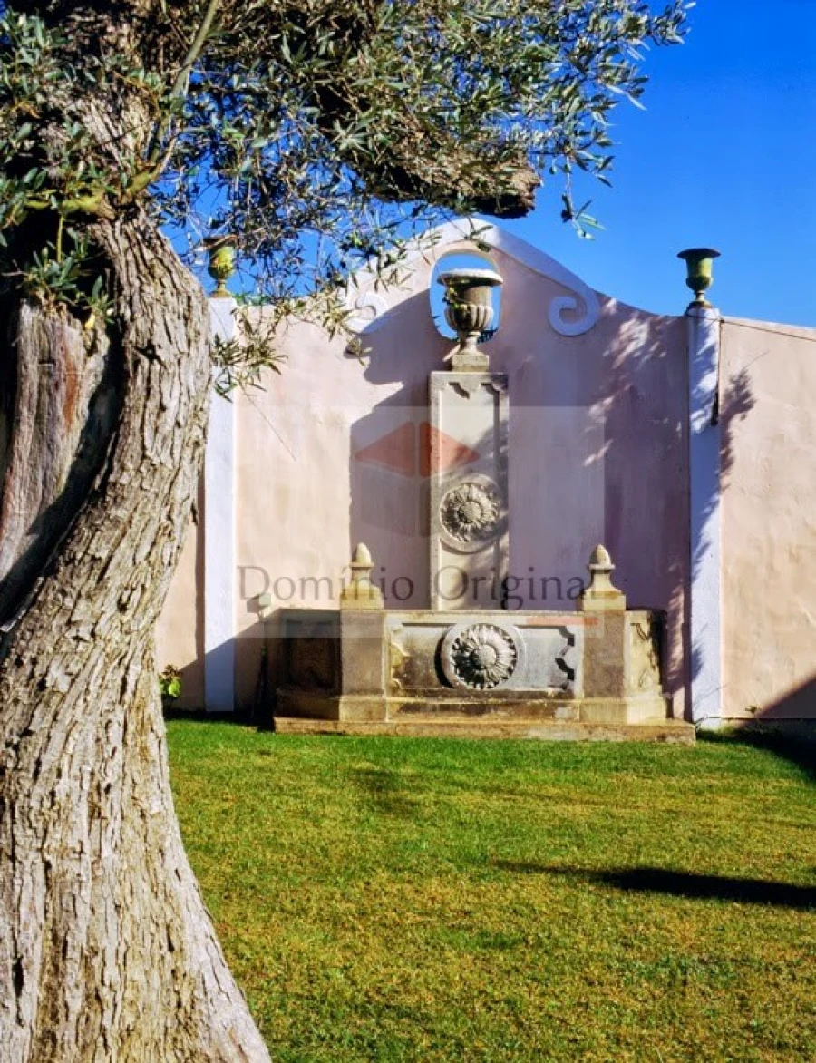 Quinta T5 para Venda em Loule (São Clemente) Foto 6