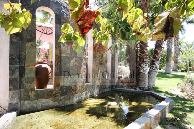 Quinta T5 para Venda em Loule (São Clemente) Foto 40