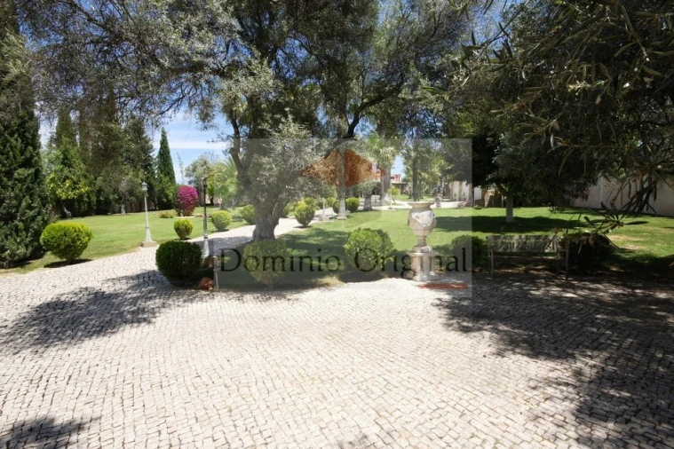 Quinta T5 para Venda em Loule (São Clemente) Foto 42