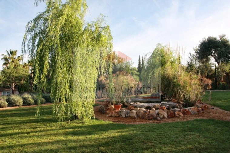 Quinta T5 para Venda em Loule (São Clemente) Foto 45