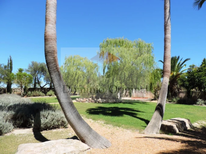 Quinta T5 para Venda em Loule (São Clemente) Foto 47