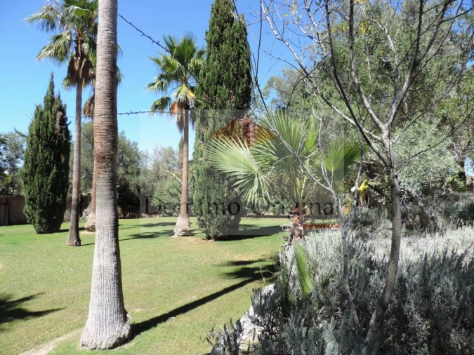 Quinta T5 para Venda em Loule (São Clemente) Foto 50