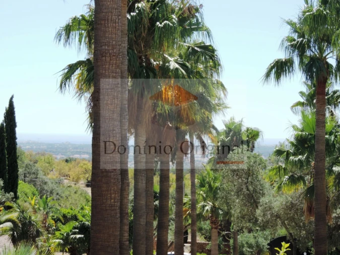 Quinta T5 para Venda em Loule (São Clemente) Foto 54