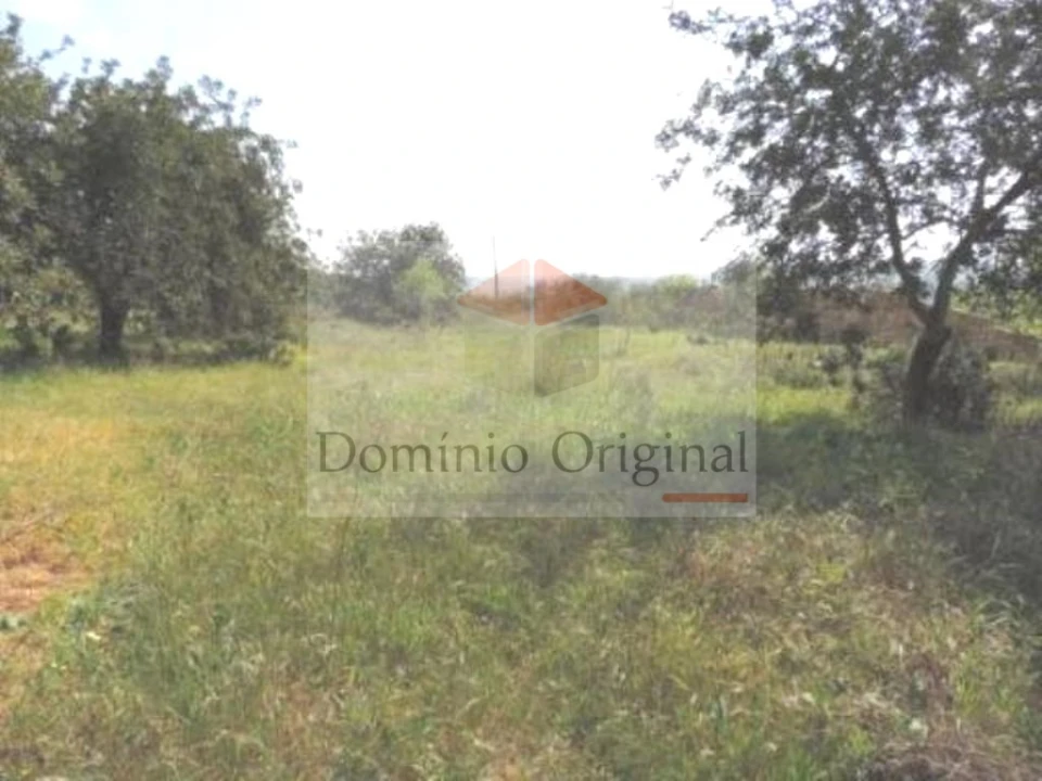 Terreno para Venda em Ferreiras Foto 3