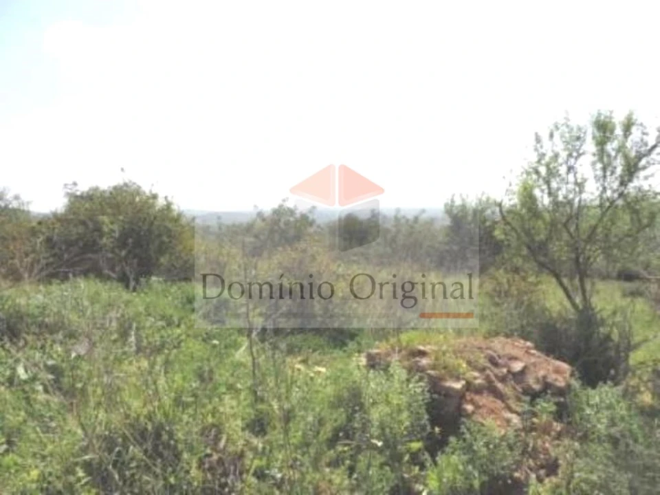 Terreno para Venda em Ferreiras Foto 6