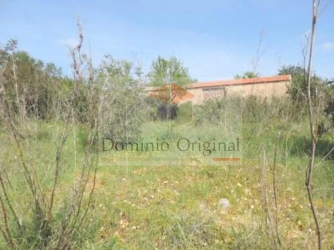 Terreno para Venda em Ferreiras