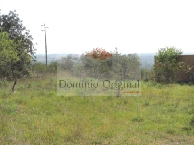 Terreno para Venda em Ferreiras Foto 4