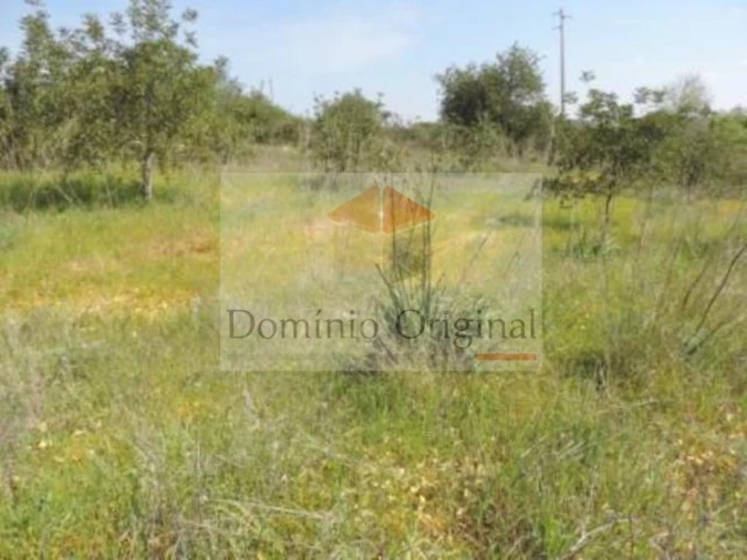 Terreno para Venda em Ferreiras Foto 2