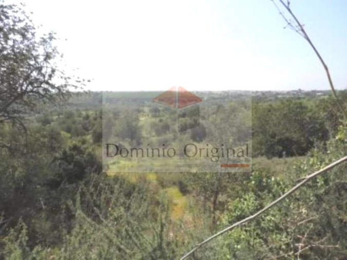 Terreno para Venda em Ferreiras Foto 7