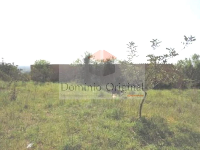 Terreno para Venda em Ferreiras Foto 13