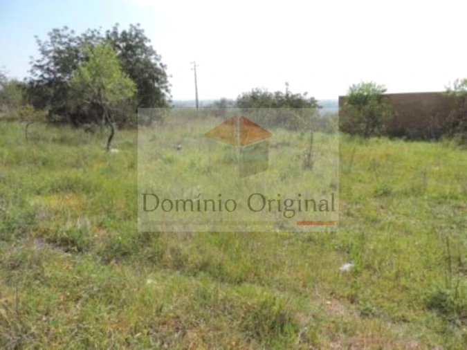 Terreno para Venda em Ferreiras Foto 14