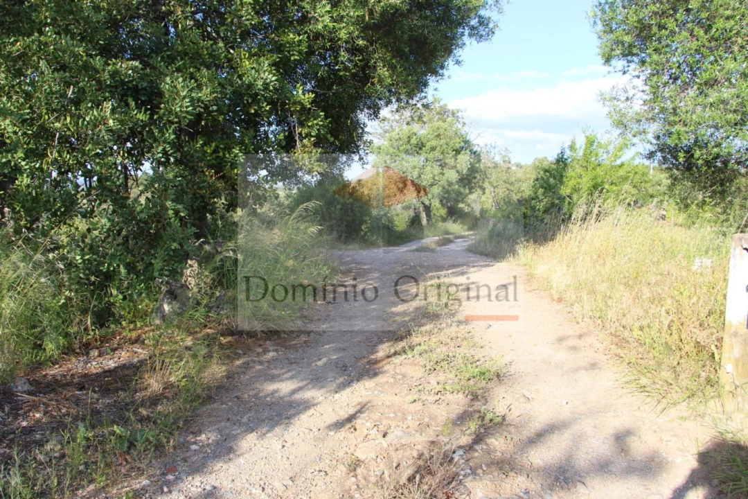 Terreno para Venda em Santa Catarina da Fonte do Bispo Foto 9